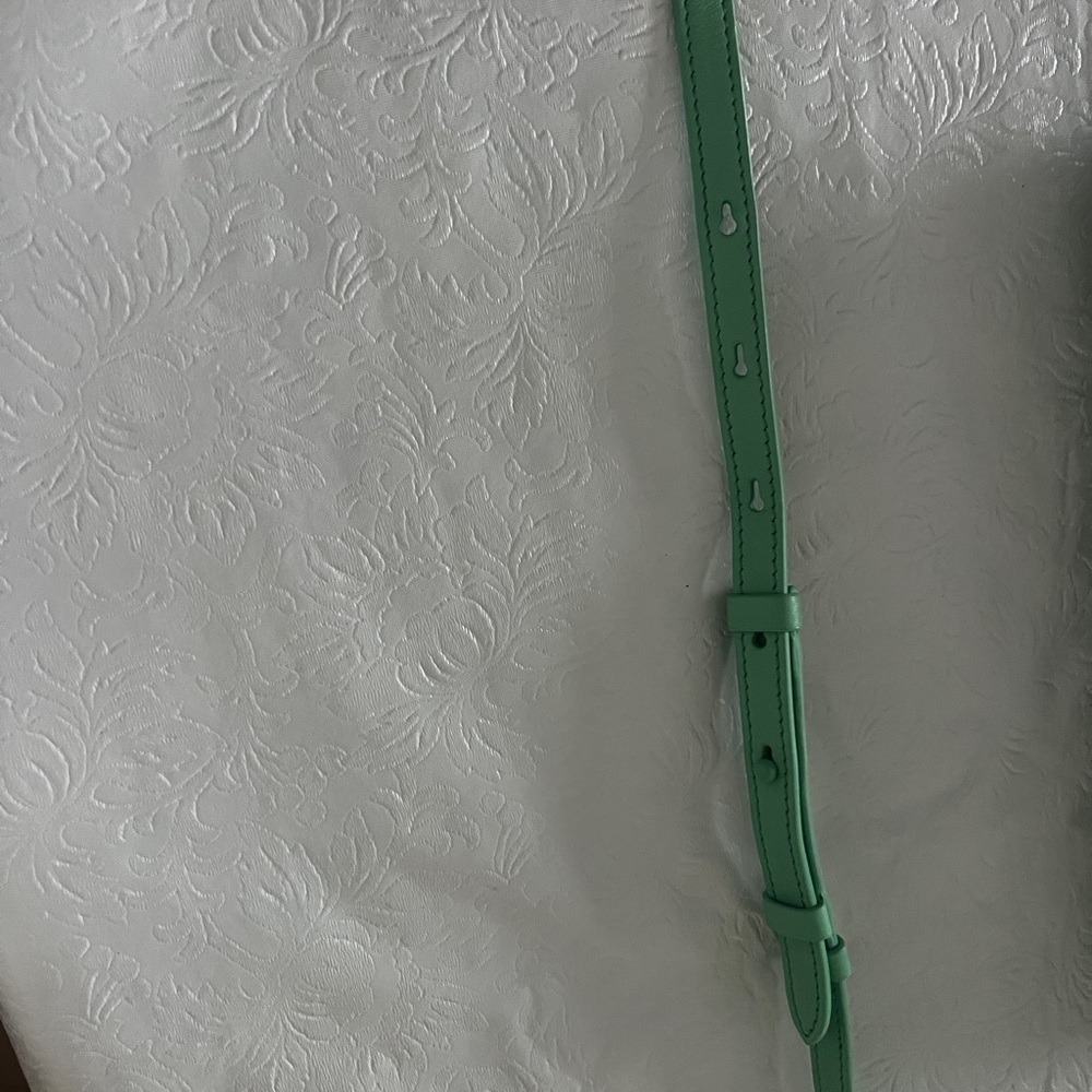 Salvatore Ferragamo Viva Mini Leather Shoulder Bag in Fresh Mint Green - Picture 15 of 15